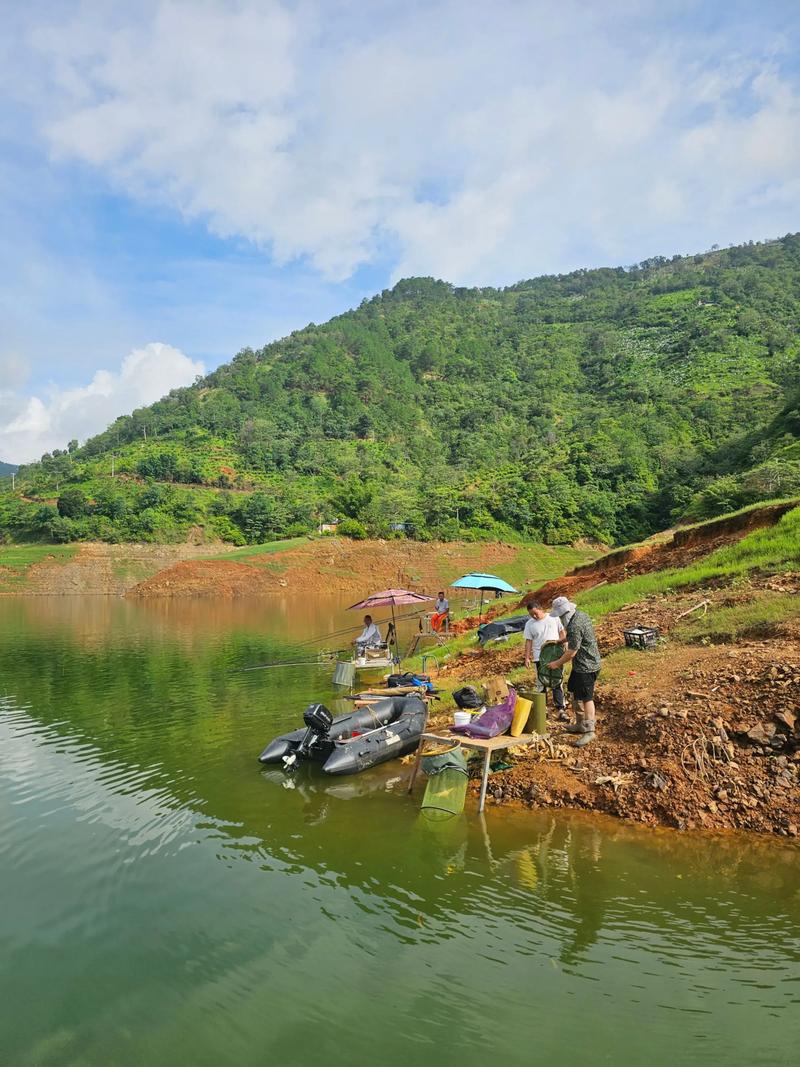 肇慶免費釣點_七星巖周邊釣魚攻略_肇慶哪里有水庫釣魚