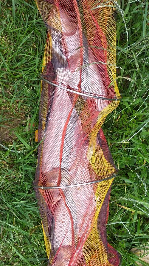 中秋節海釣_中秋海竿釣魚技巧_釣魚中秋技巧海竿怎么用