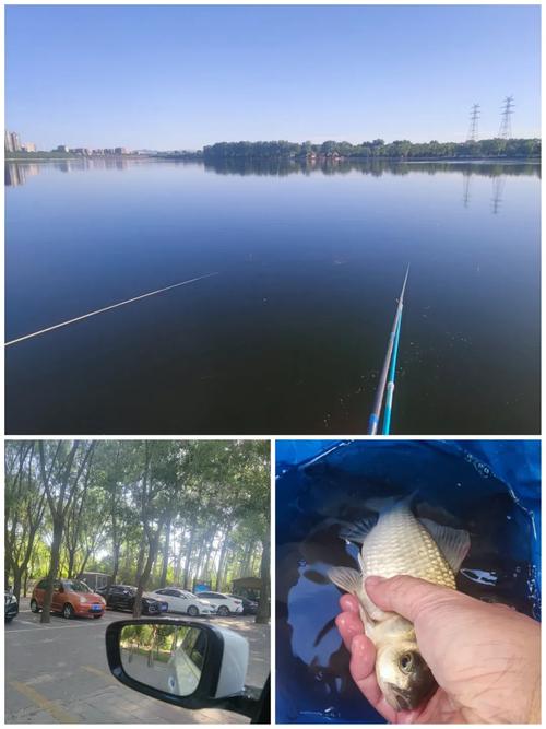 現在潮白河釣魚如何？釣魚之家_潮白河泄流釣魚安全_潮白河順義段水位上漲捕魚隱患