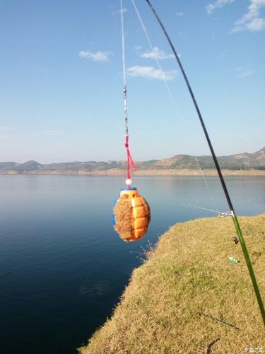 周末家庭釣魚體驗_現在小浪底讓不讓釣魚-釣魚之家_小浪底釣魚攻略