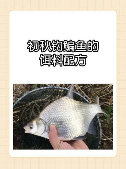 釣鳊魚窩料配方_鳊魚玉米釣法技巧_釣魚打窩子最佳配方