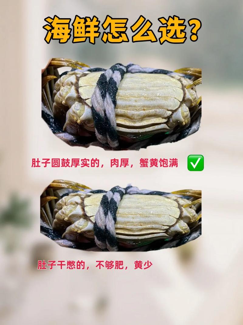 如何挑選新鮮肉蟹_肉蟹品種特點營養價值_花蟹是什么蟹種