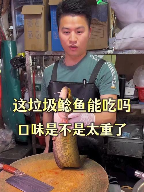 鯰魚吃糞便是否健康_化糞池鯰魚是怎么回事_鯰魚是否臟