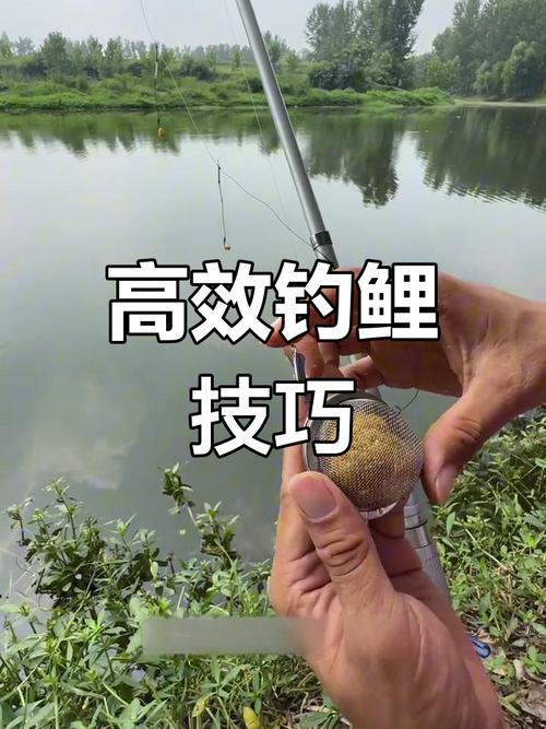 手桿串鉤釣魚技巧視頻_串鉤做窩釣魚方法_手桿串鉤釣魚技巧