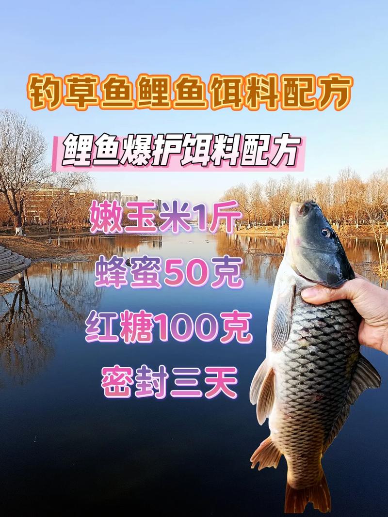 草魚苗的開口餌料_用餌料釣草魚調幾釣幾_草魚餌料怎么開