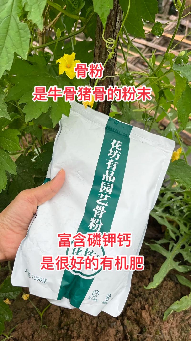 魚骨粉_魚骨粉_魚骨粉