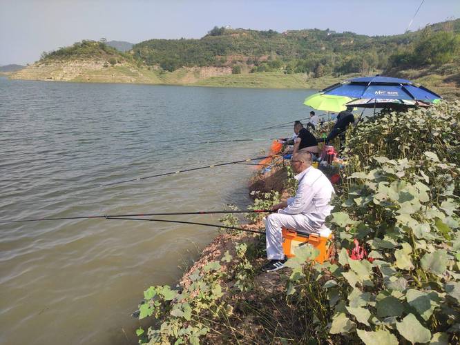 小浪底水庫坐釣_小浪底水庫釣點推薦_小浪底釣魚技巧