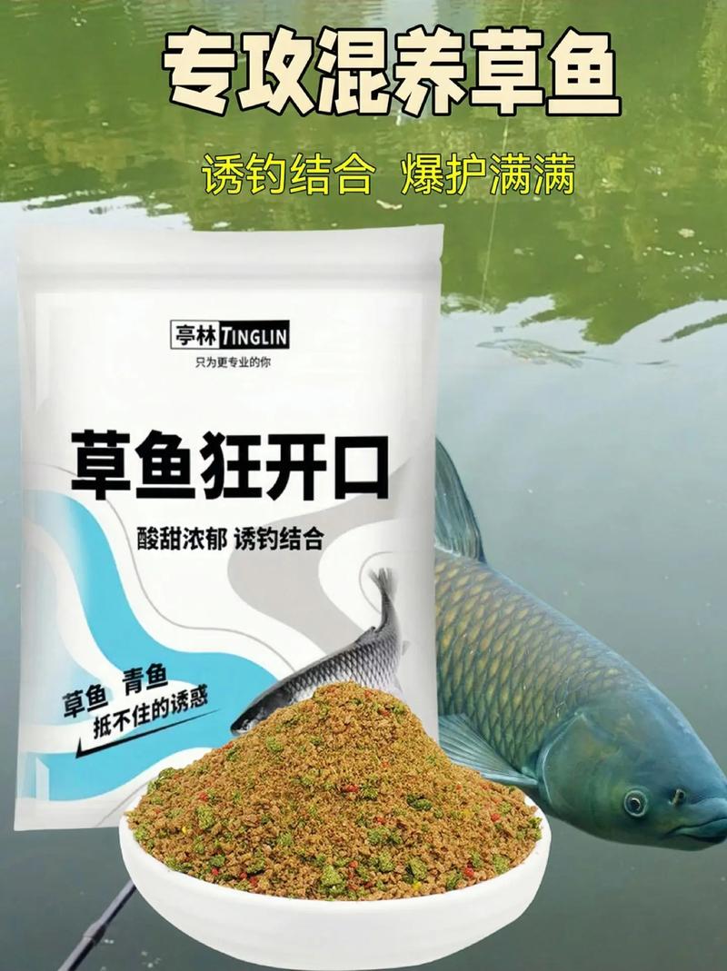 冬季草魚難釣原因_冬季草魚釣點選擇_冬季水庫釣草魚用什么餌最好