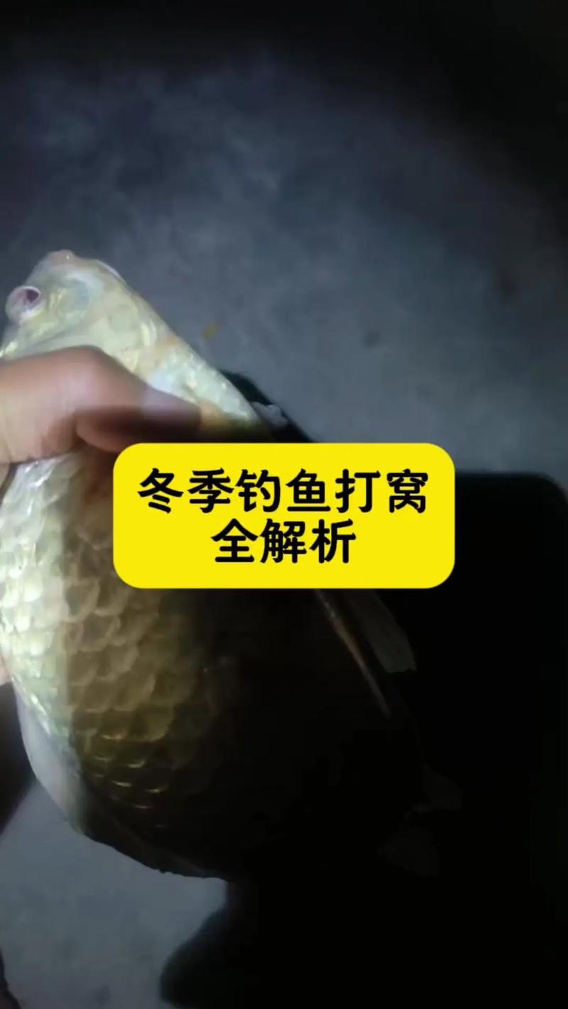 避開白條的傳統釣法_野釣防止小魚鬧窩奇招_野釣白條鬧窩怎么辦