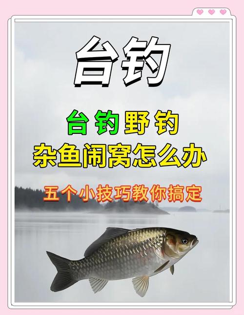 避開白條的傳統釣法_野釣白條鬧窩怎么辦_野釣防止小魚鬧窩奇招