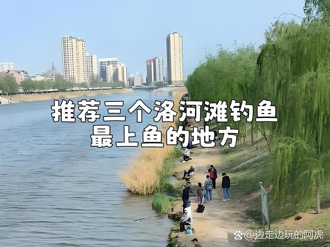 河洛垂釣助手 釣點查詢 河南釣魚論壇_河南釣魚論壇