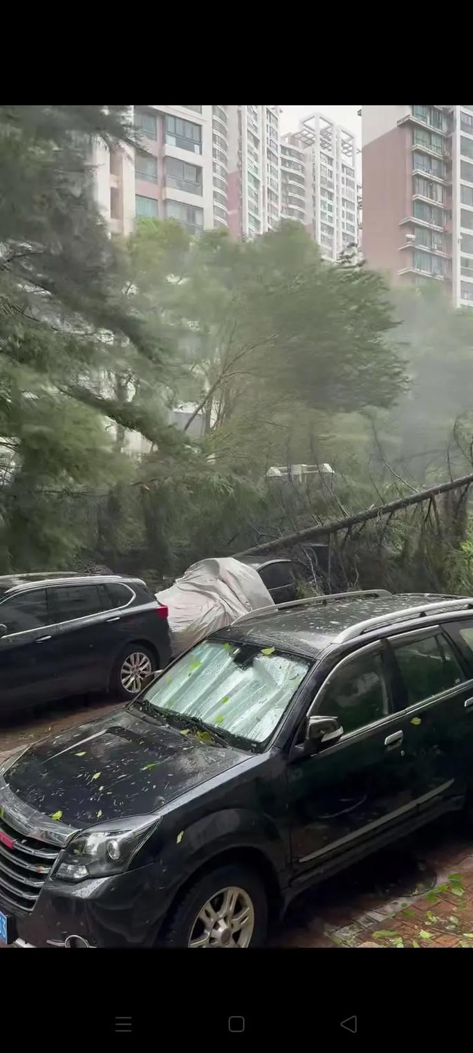 濰坊天氣預警_濰坊市強降雨預報_濰坊市暴雨預警
