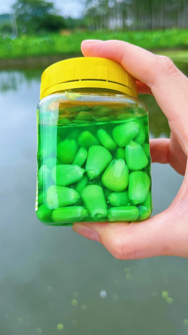 秋天夜釣草魚用什么餌料好_夏季釣草魚_嫩玉米餌料配方