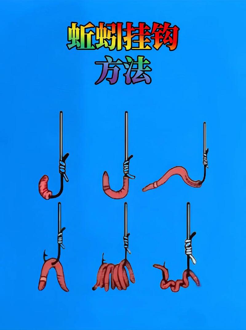 釣魚大蚯蚓好還是小蚯蚓好 蚯蚓品種對比 黑蚯蚓紅蚯蚓掛鉤方法_釣魚掛蚯蚓最佳圖解