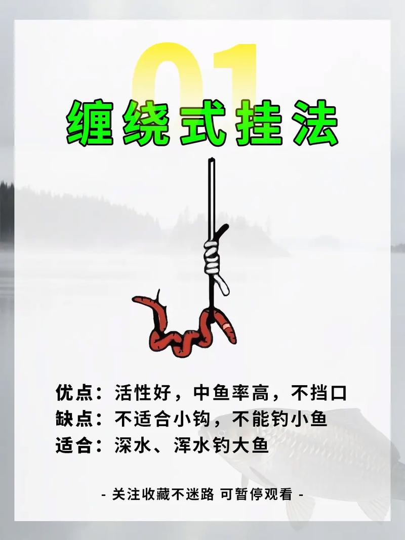 釣魚掛蚯蚓最佳圖解_釣魚大蚯蚓好還是小蚯蚓好 蚯蚓品種對比 黑蚯蚓紅蚯蚓掛鉤方法