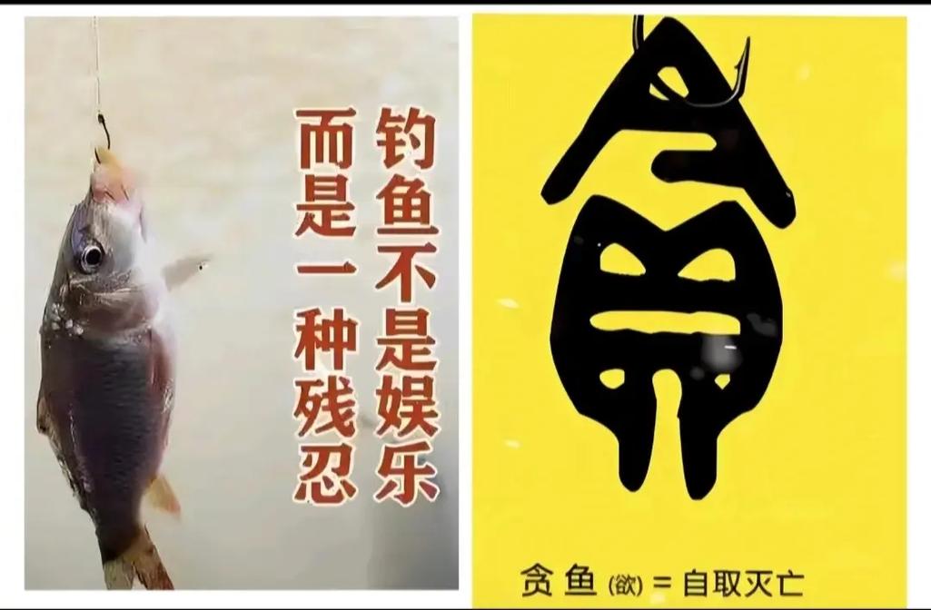 釣魚毀一生_釣魚毀一生下一句_釣魚毀一生的經典語錄