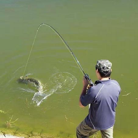 天刀手游釣魚大賽技巧分享_天刀釣魚大賽技巧_天涯明月刀手游釣魚大賽高分技巧