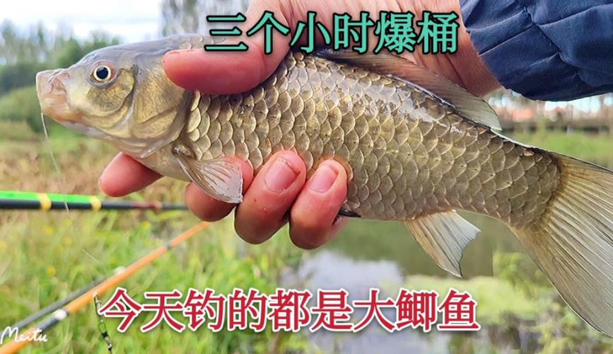 天刀釣魚大賽技巧_天刀手游釣魚大賽技巧分享_天涯明月刀手游釣魚大賽高分技巧