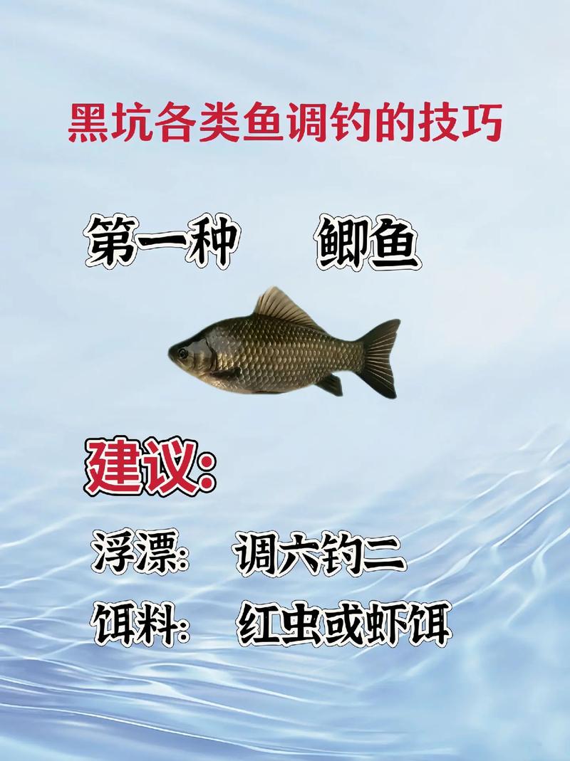 黑坑釣草魚用什么餌最好吃_草魚線組搭配_黑坑草魚釣法