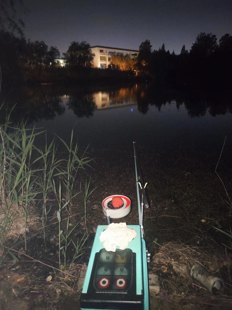 釣友爆竿經歷分享_松山湖夜釣攻略_野釣鯪魚視頻