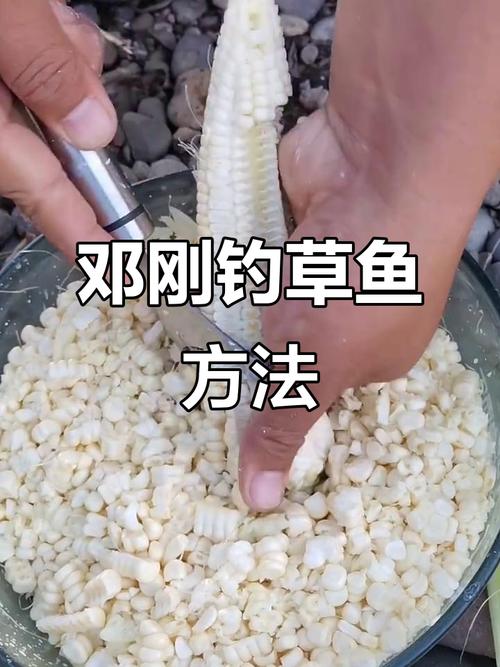 鄧剛野釣方法_商品餌野釣技巧_魚塘釣草魚用什么餌最佳