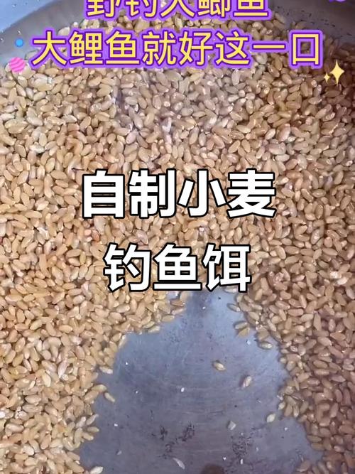 用麥子釣鯽魚技巧口訣?_鯽魚吃小麥的原因_小麥釣大板鯽