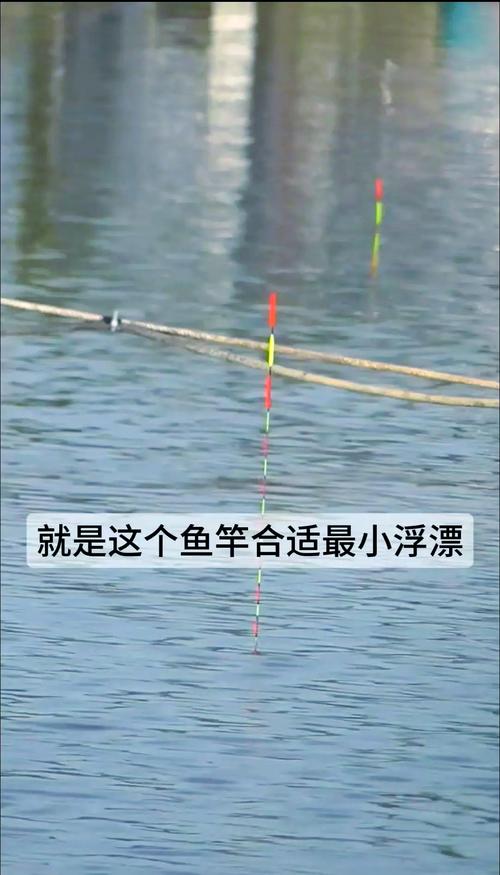 釣魚回憶_釣魚看漂視頻高清_兒時釣魚經歷