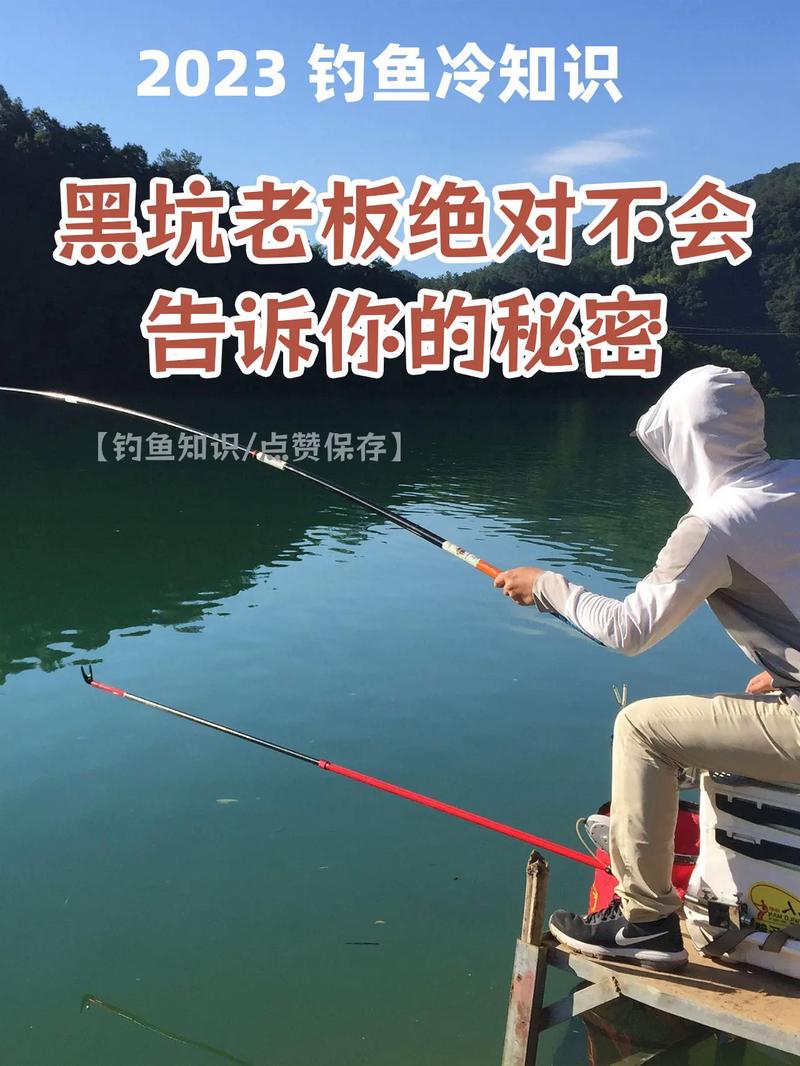 黑坑禁用活餌原因_黑坑什么意思_黑坑釣魚規則限制