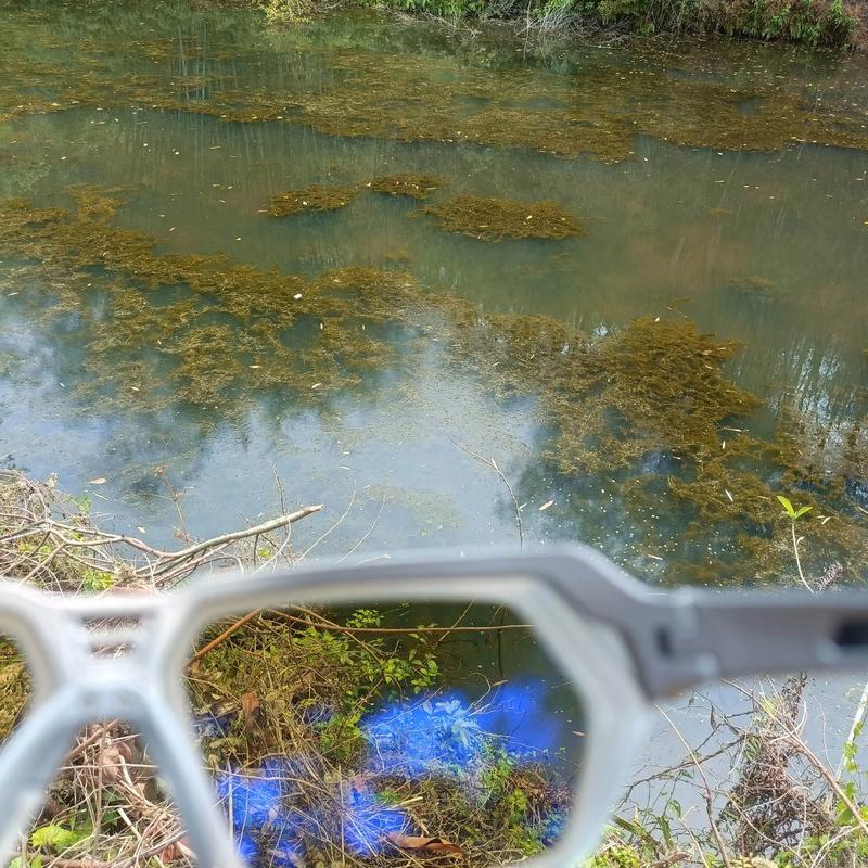 偏光鏡片與普通太陽鏡區別_偏光釣魚眼鏡_偏光太陽眼鏡好處