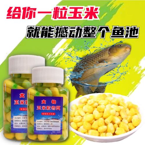 黑坑釣草魚青草餌料_黑坑釣草魚用什么餌料最合適_黑坑釣草魚用嫩玉米
