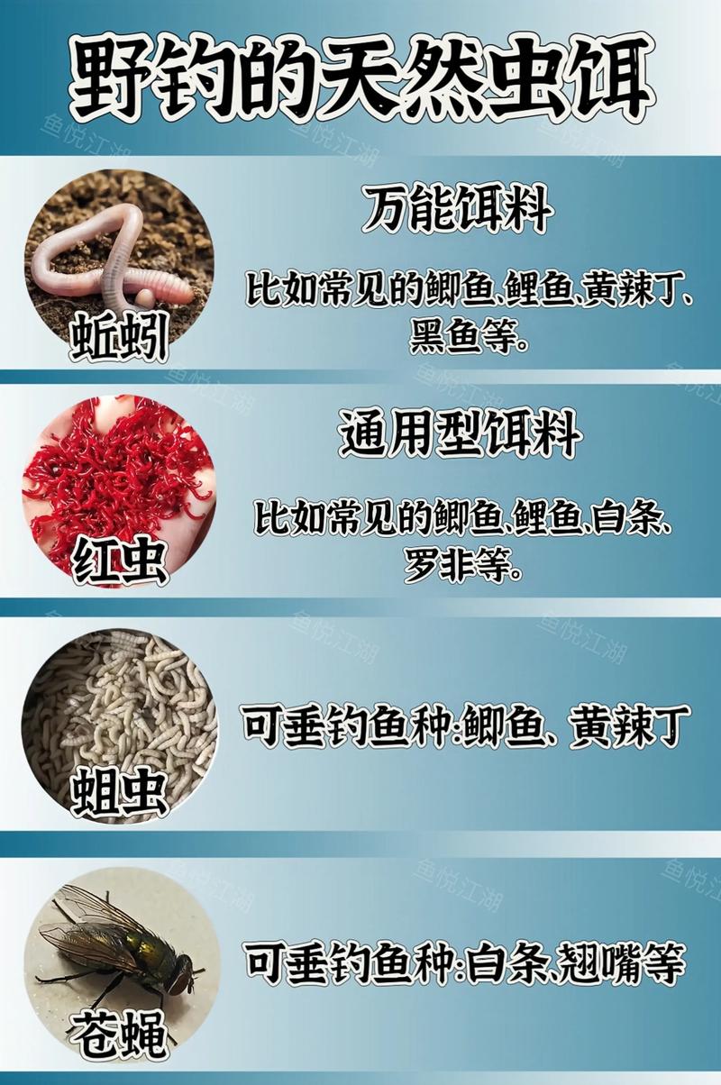 深秋釣魚餌料推薦_自制深秋釣魚餌料配方_10月份釣草魚用什么餌料最好
