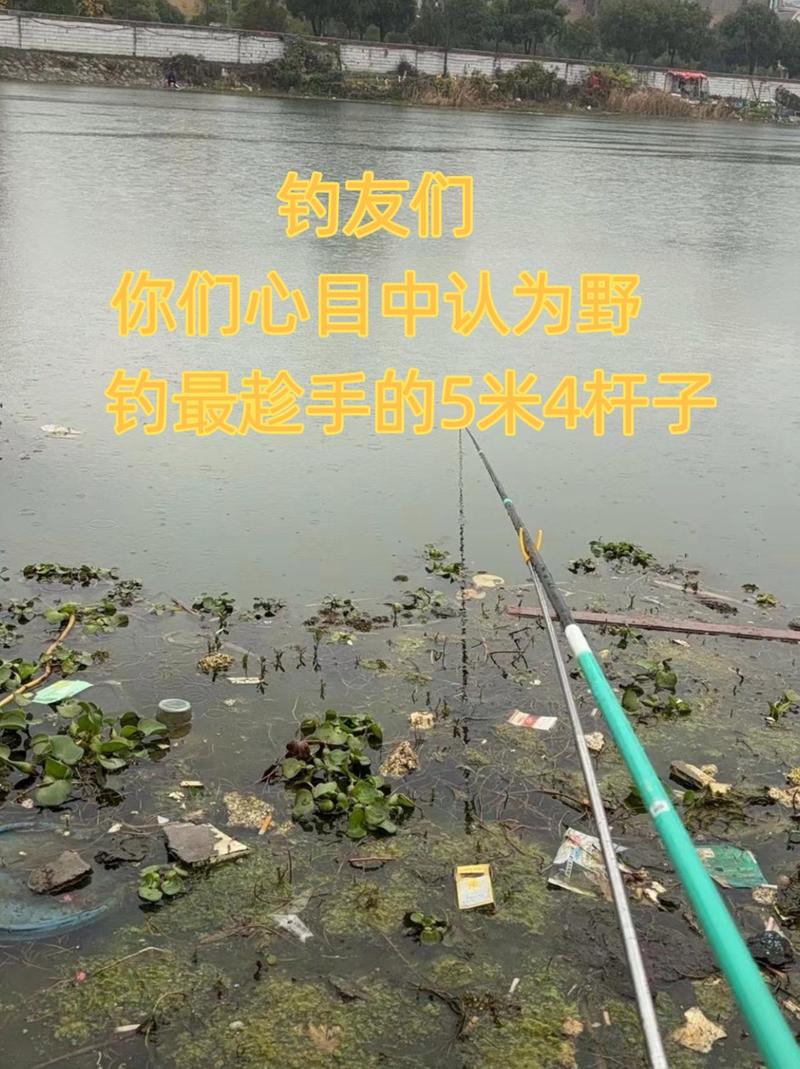 3.6-6.3米魚竿使用指南_野釣5.4米那款魚竿好_野釣魚竿選擇技巧