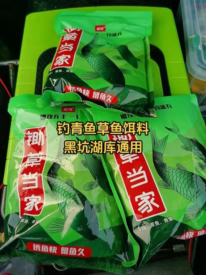 青魚草魚混養黑坑釣法_釣青魚和草魚混養黑坑技巧_黑坑釣草魚用什么餌料最合適