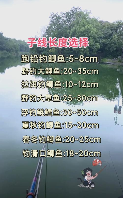 野釣鯪魚子線多大_手竿野釣鯪魚教程視頻_鯪魚線組搭配技巧