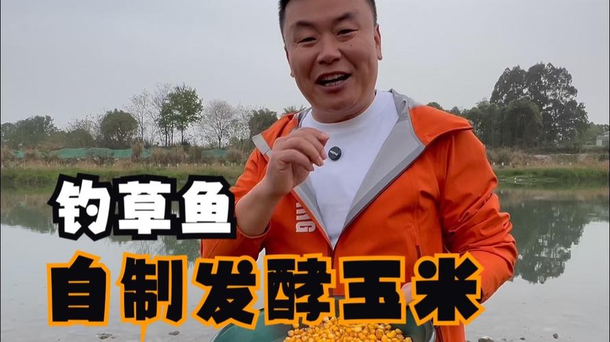 野河釣草魚用什么餌料最好_草魚打窩技巧_草魚窩料配方