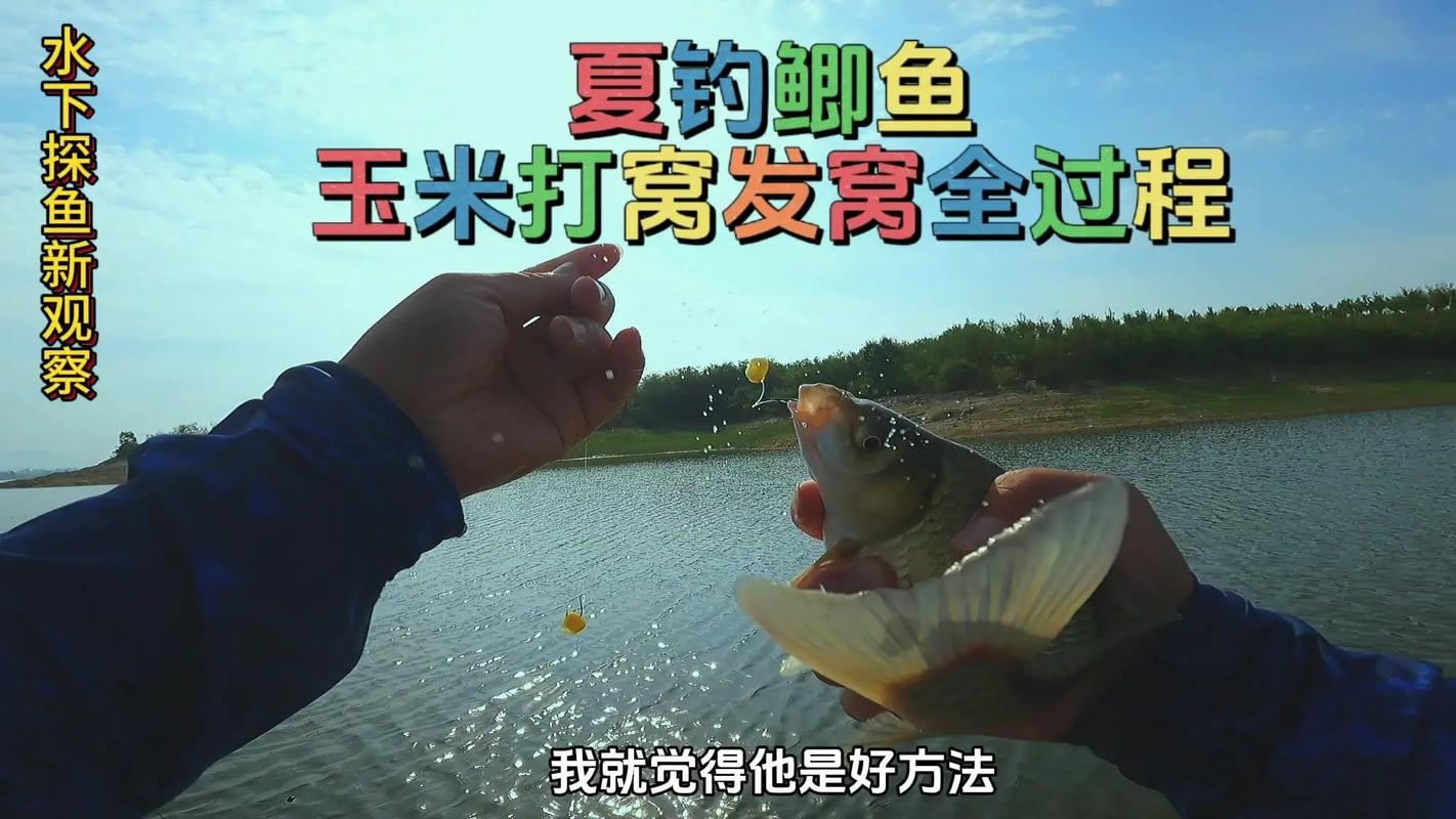 草魚打窩技巧_野河釣草魚用什么餌料最好_草魚窩料配方