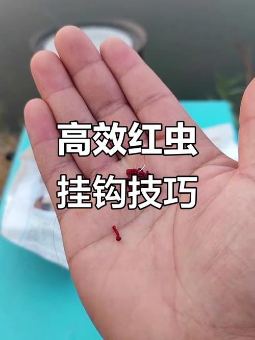 釣魚危險紅蟲視頻_紅蟲釣魚真的危險嗎_釣魚紅蟲危害