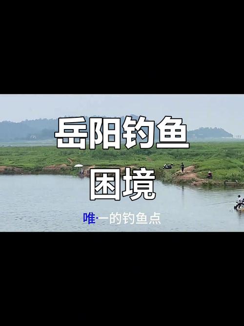 洞庭湖禁捕區違規垂釣現象_洞庭湖釣魚_洞庭湖水產種質資源保護區非法捕撈問題