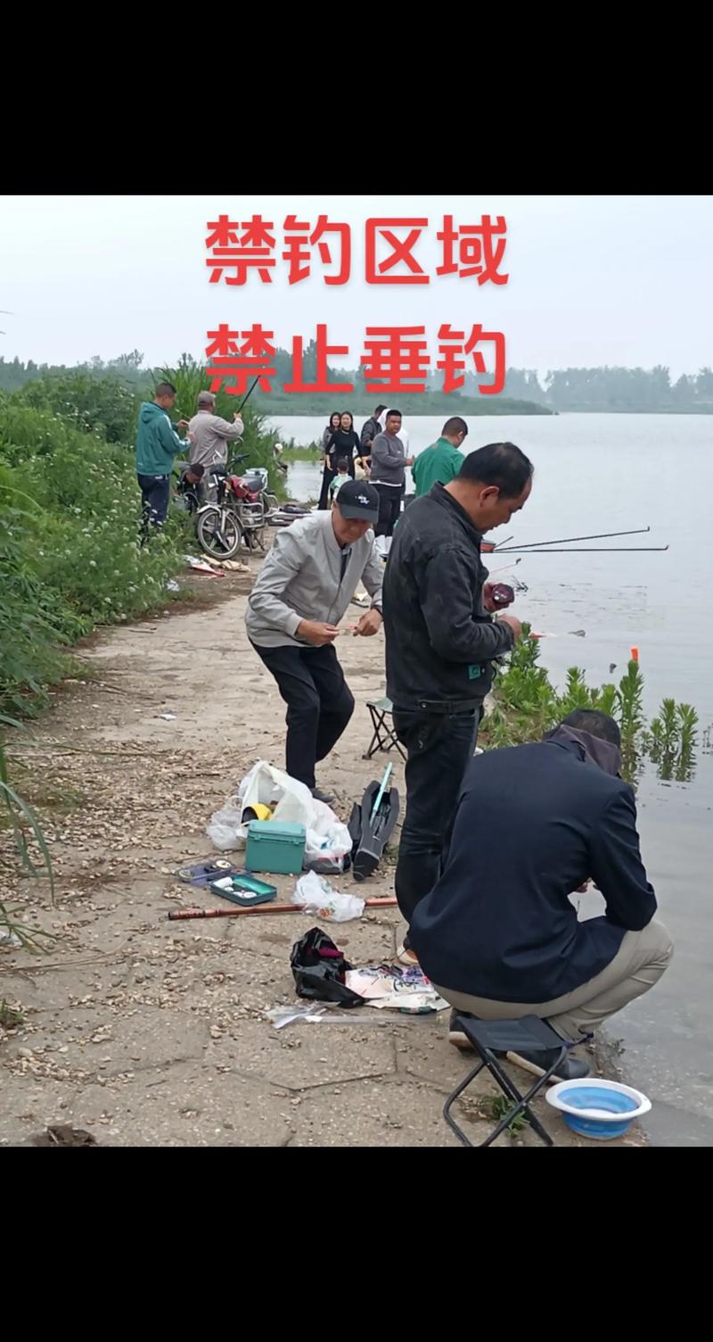 禁釣令背后的生態邏輯_洞庭湖違規垂釣現象_洞庭湖釣魚