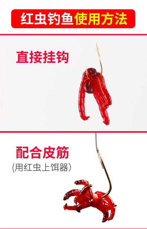 冬季野釣蟲餌與粉餌哪個好_冬季釣鯽魚蟲餌與粉餌選擇_冬季釣草魚用什么餌料釣最好