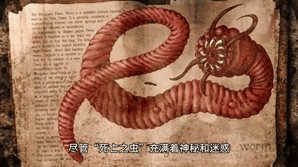 意思是打算的英文_意思是什么生肖_deathworm是什么意思