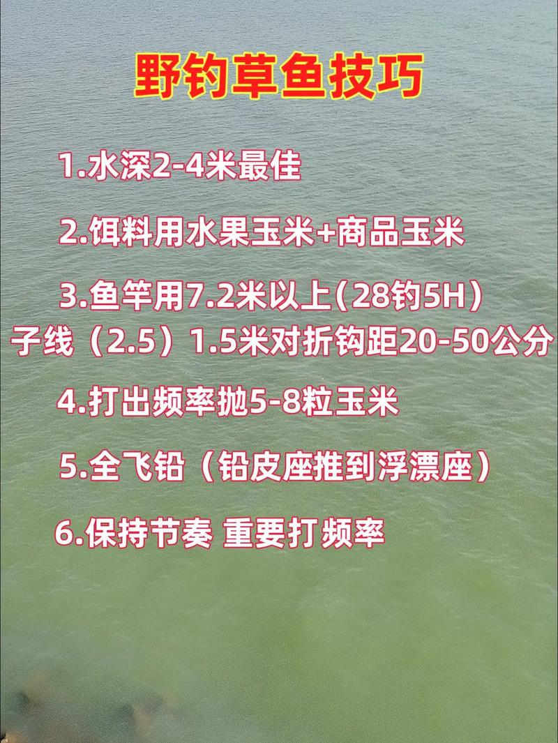 草魚餌料配方分享_浮釣草魚用什么餌料最好_釣草魚用什么餌料