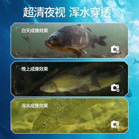 探魚器有用_艾文禮探魚器 夜視功能 渾水穿透