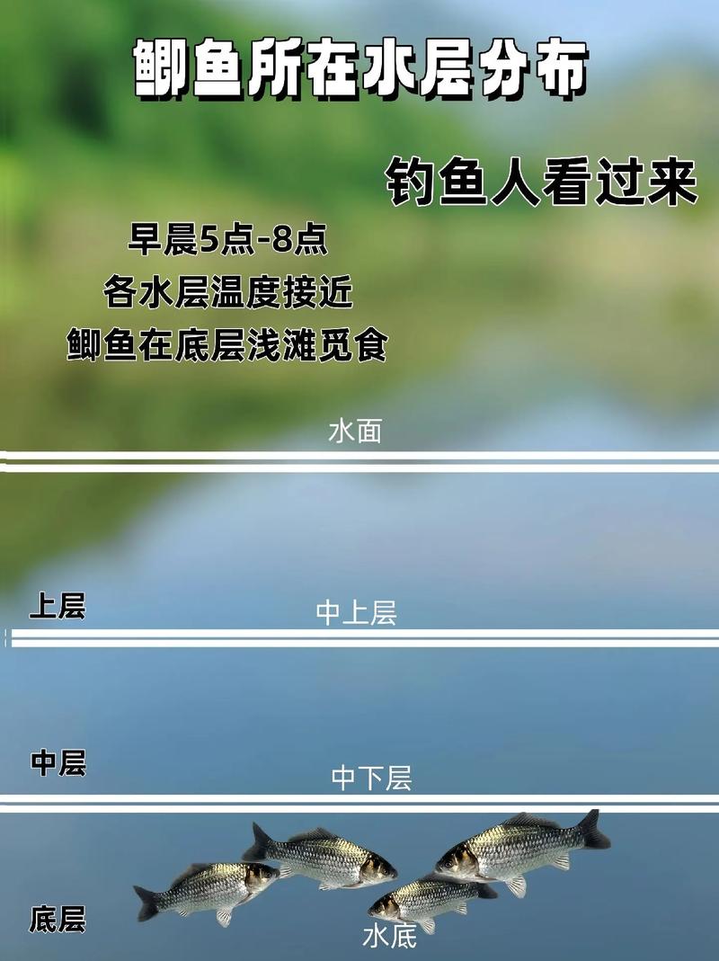 釣魚人APP分析_釣魚人之家_釣魚人APP功能特點