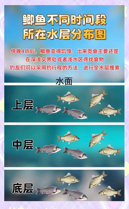 釣魚人APP功能特點_釣魚人APP分析_釣魚人之家