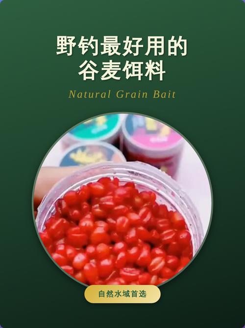 釣草魚秋冬餌料選擇_草魚秋冬季節餌料配方_冬天釣草魚用什么餌合適