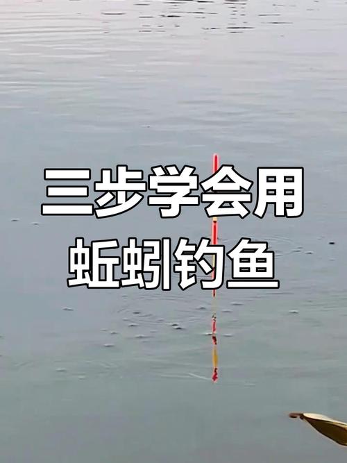 冬天釣草魚用什么餌料上鉤最快_冬季釣草魚技巧_秋季釣草魚餌料