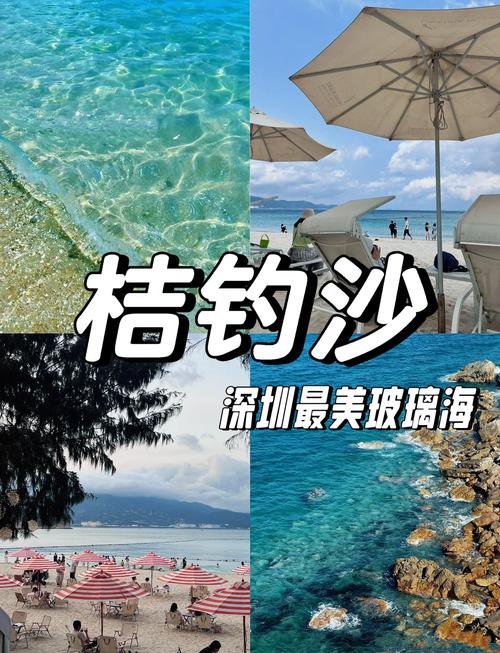 深圳野釣地方推薦2026_深圳海釣免費地點攻略_深圳淡水野釣推薦地點