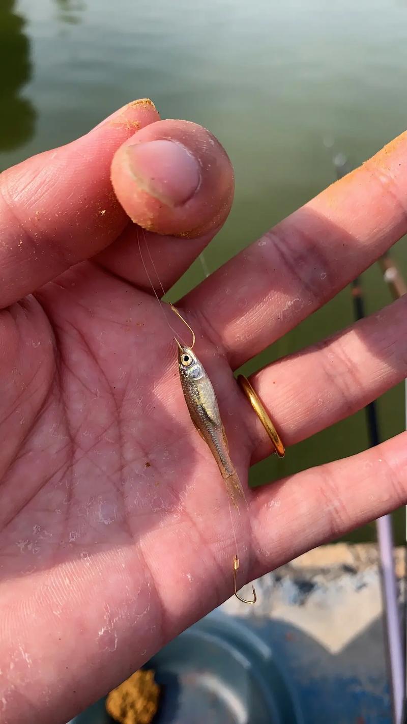 釣魚人幽默段子_釣魚樂趣故事_釣魚視頻大全