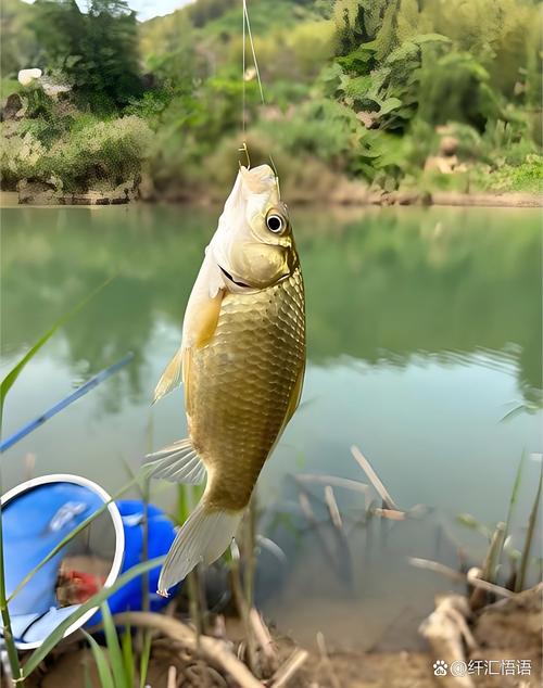 釣草魚藥酒誘餌制作_草魚商品餌選擇_7月釣草魚用什么餌最好